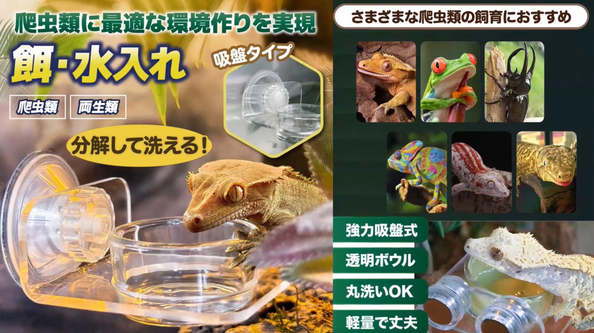 Amazon | 【プロ目線で考えた】 爬虫類 両生類 餌入れ 水入れ 吸盤固定